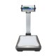 Plattformwaage mit RS-232 Schnittstelle AE ADAM CPWplus
