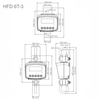 Hochauflösende Kranwaage Kern HFD 6T-3IP