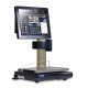 Laden- und Etikettierwaage mit großem Touchscreen und TSE-Option CAS iCP-T-20