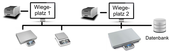 Waagen integriert in IT Systeme