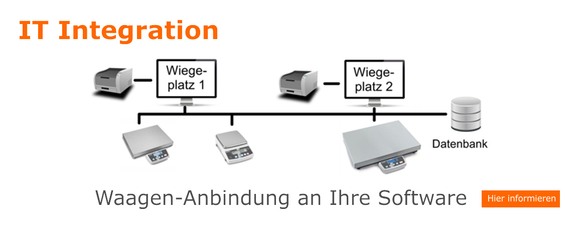 IT-Integration